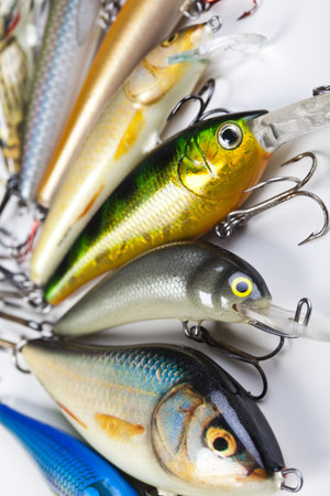 Fish and fishingの写真素材