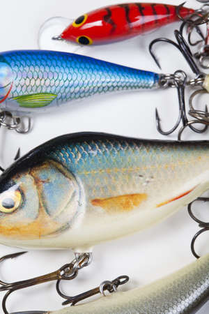 Fishing spinnerの写真素材