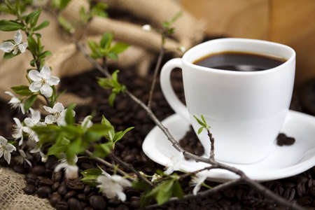 Coffee の写真素材