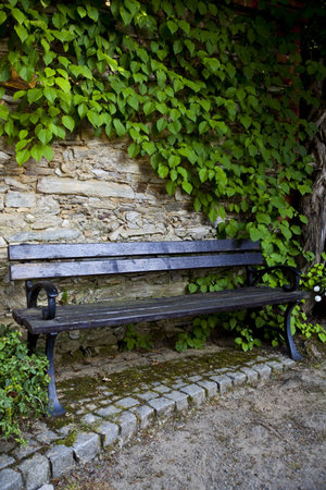 Bench on garden	の写真素材