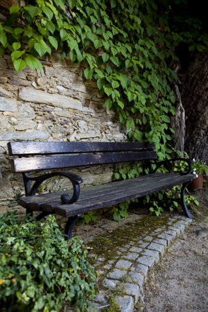 Bench on garden