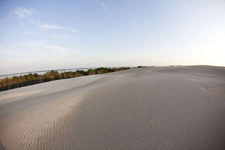 Dunes background の写真素材