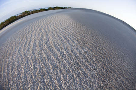Dunes & Sandy sunny beachの写真素材