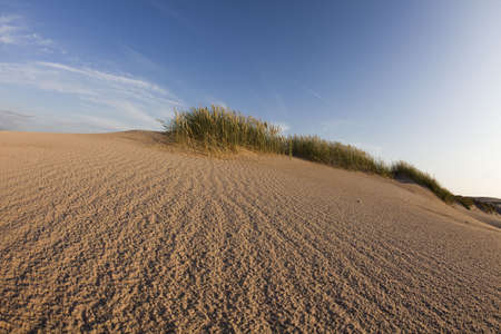Yellow sand, sun, beach の写真素材