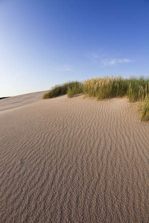 Dunesの写真素材