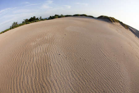 Dunesの写真素材
