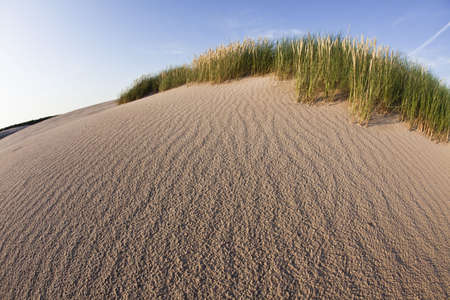 Sandy beach during summer and holidaysの写真素材