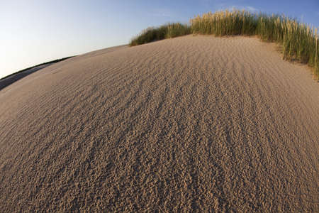 Polish dunes の写真素材
