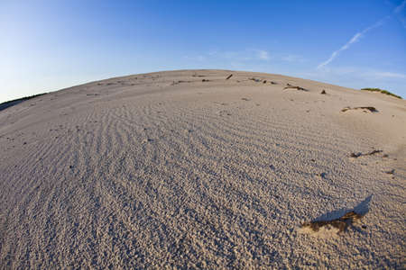 Dunes & Sandy sunny beach の写真素材