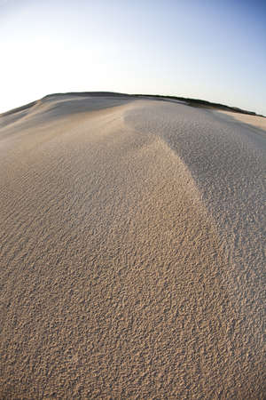 Dunesの写真素材