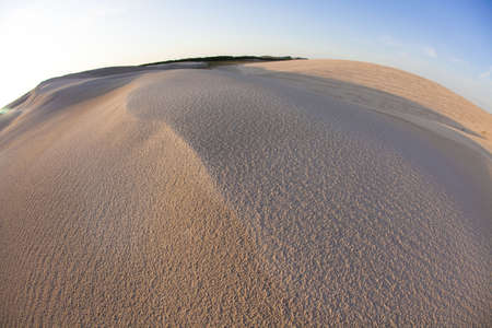 Dunesの写真素材