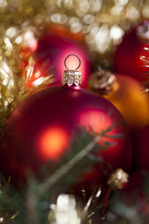 Christmas の写真素材