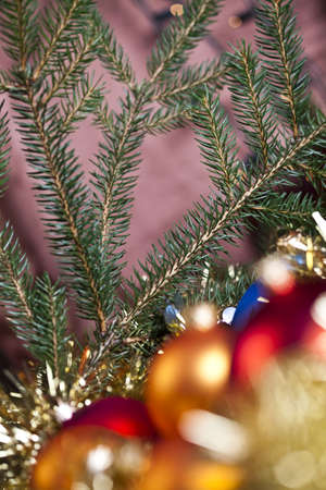 Cut spruce and Christmas balls の写真素材