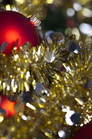 Christmas day の写真素材