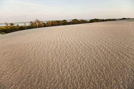 Dunesの写真素材