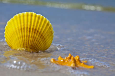 Sea  backgroundの写真素材