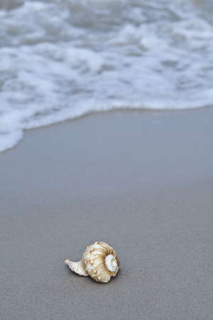Sea  backgroundの写真素材