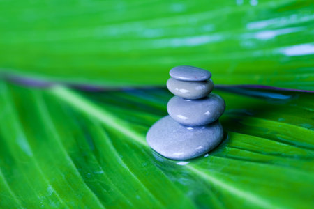 Natural beautyの写真素材