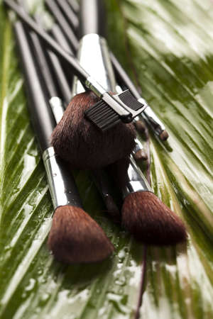 Set of Brushesの写真素材