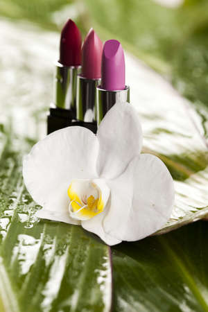 Lipsticks collectionの写真素材