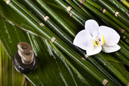 Zen is a freshness and the way of lifeの写真素材