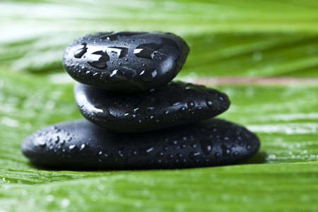 Zen is a freshness and the way of lifeの写真素材