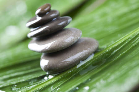 Leaf & Stonesの写真素材