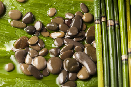 Leaf & Stonesの写真素材
