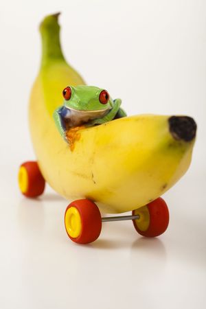 Fruit frogの写真素材