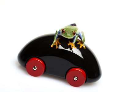 Toy car and frogの写真素材