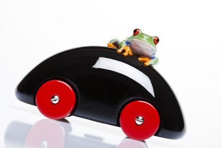 Driver frogの写真素材