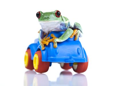 Toy  の写真素材