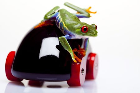Wooden car and frog の写真素材