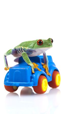 Driver!の写真素材