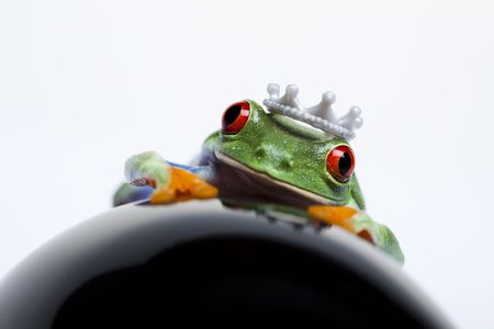 Toy car and frogの写真素材