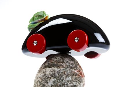 Toy and frogの写真素材