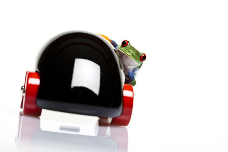 Tree frogの写真素材