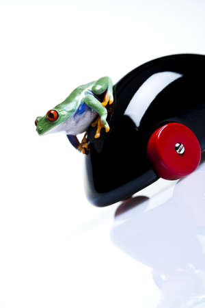 Toy and frogの写真素材