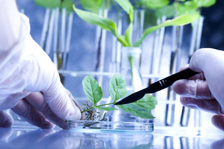 Laboratory technicianの写真素材