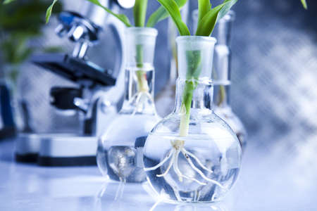 Eco laboratory の写真素材