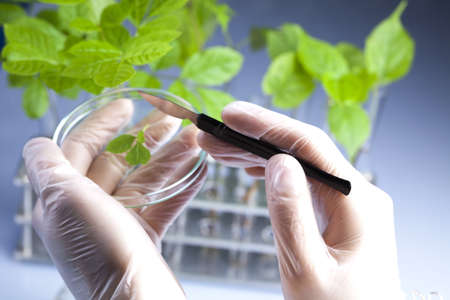 Biotechnologyの写真素材