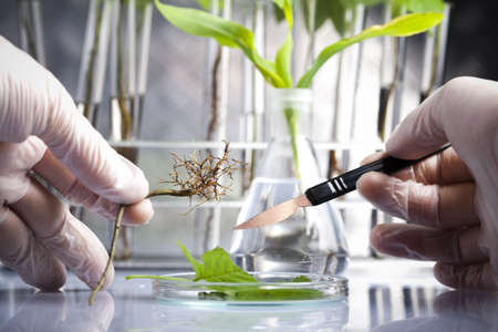 Science experiment and plants の写真素材