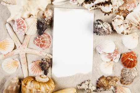 Messages between sands and shells 