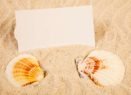 Sand and seashells frameの写真素材