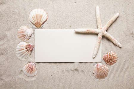 Message from the sea の写真素材