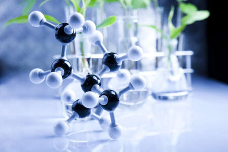 Working in a laboratory の写真素材