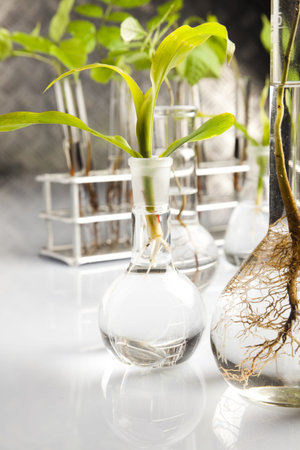 Biotechnologyの写真素材