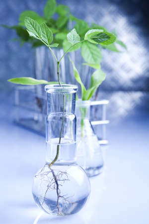 Eco laboratory の写真素材
