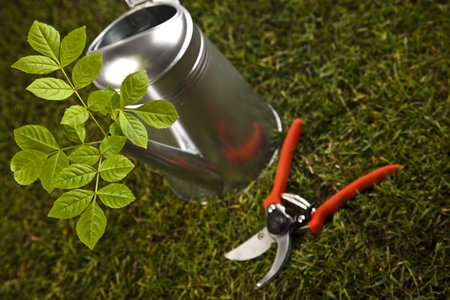 Watering Can And Gardening Tool