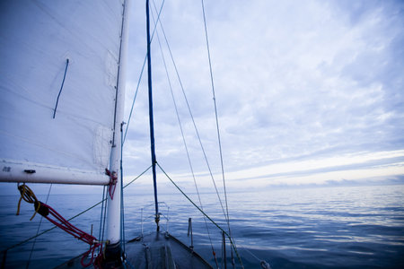 White sailsの写真素材
